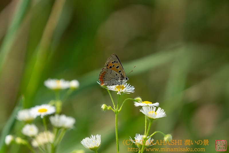 ../Images/7R240807 (14).jpg